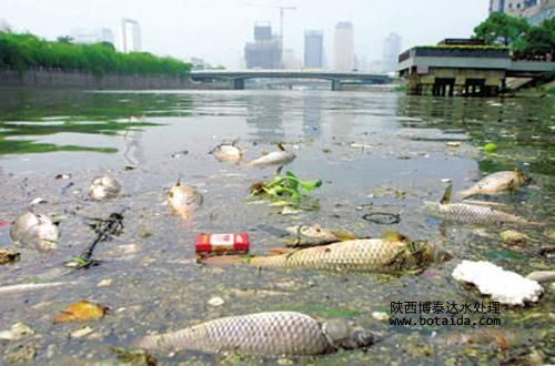 離子交換樹脂對(duì)污染如何進(jìn)行處理？